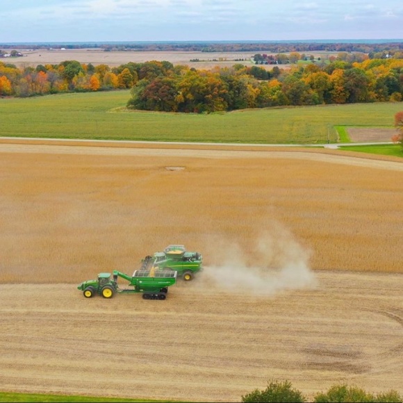 Meet your Posher, Robin - Picture 2 of 2